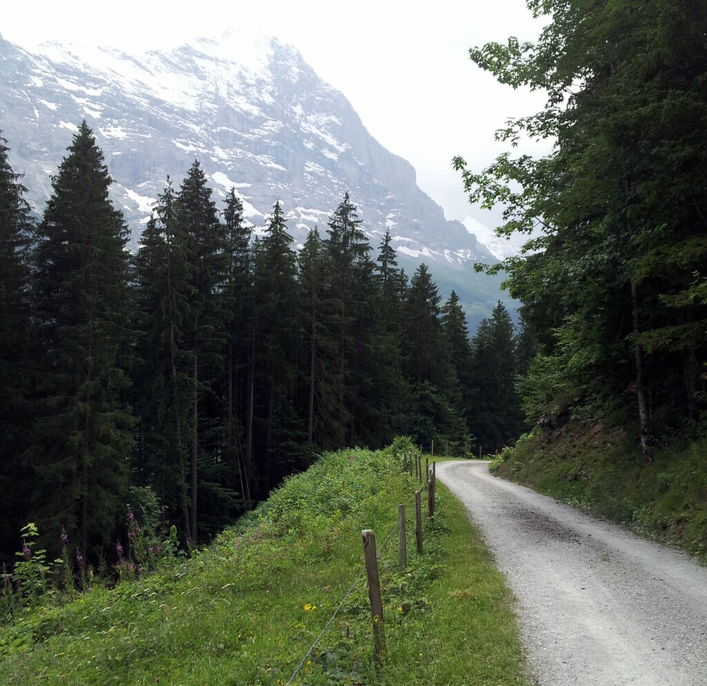 Along the 16 km Pleasure Trail course