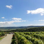 Semi-Marathon des Côtes de l’Orbe: Running with Wine