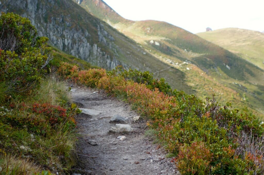 Fall colors come to the Alps. The refuge at Col de Balme, on the border of France and Switzerland, is visible in the distance.