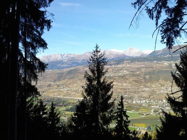 Enjoying the view... well, as much as I could enjoy it, anyway!