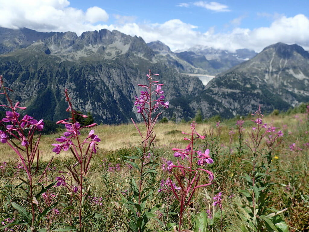 A brief window of sun near the border of France and Switzerland.