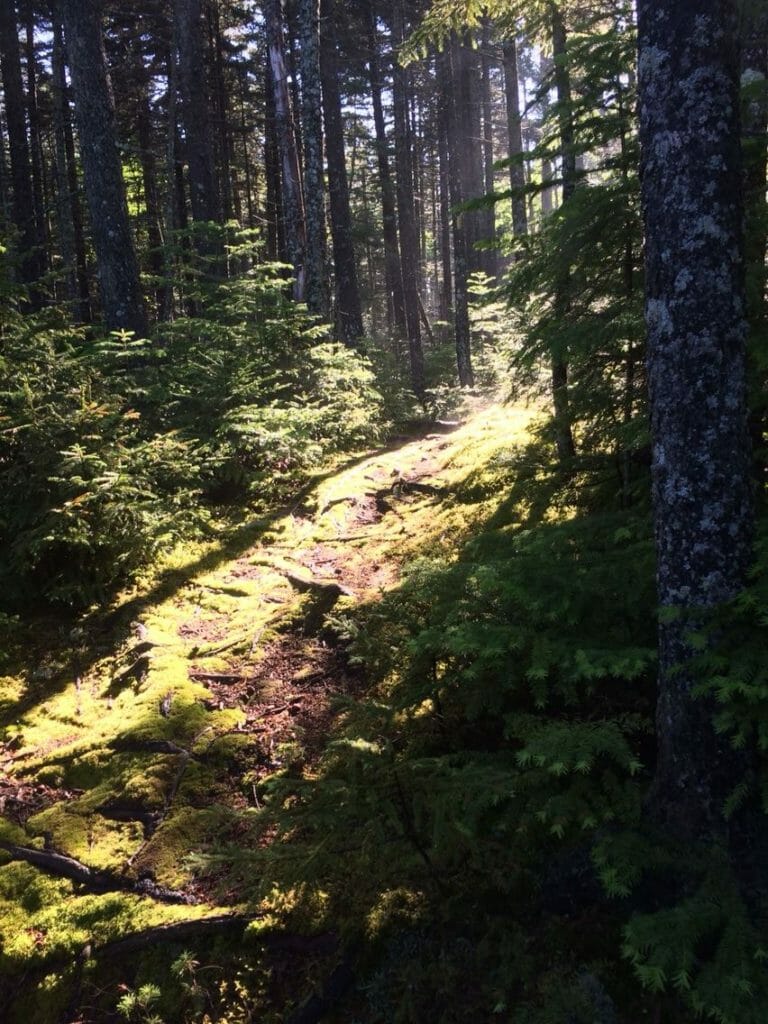 The reward. (Well, a part of it.)