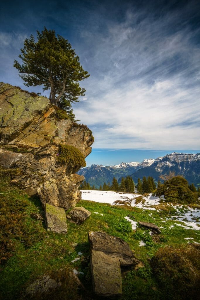 Photo courtesy of Ray Sena.