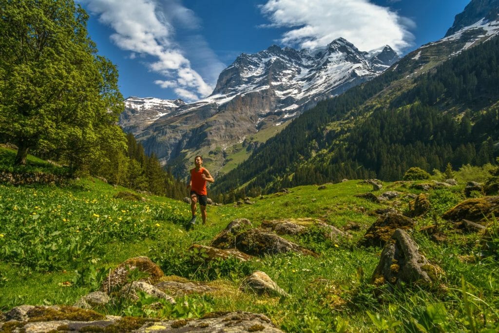 Photo courtesy of Ray Sena.