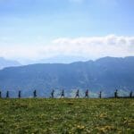 A Week with the Salomon Ultra Running Academy