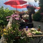 Our Favorite Short Trail Run in Chamonix