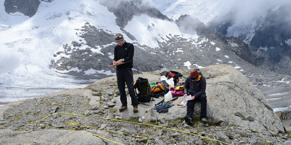 Volunteers make observations of flora at the Jardin de Talèfre
