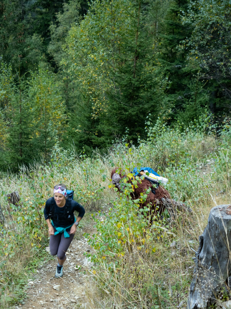 Bigfoot running on the Vertical Kilometer in Chamonix, France.