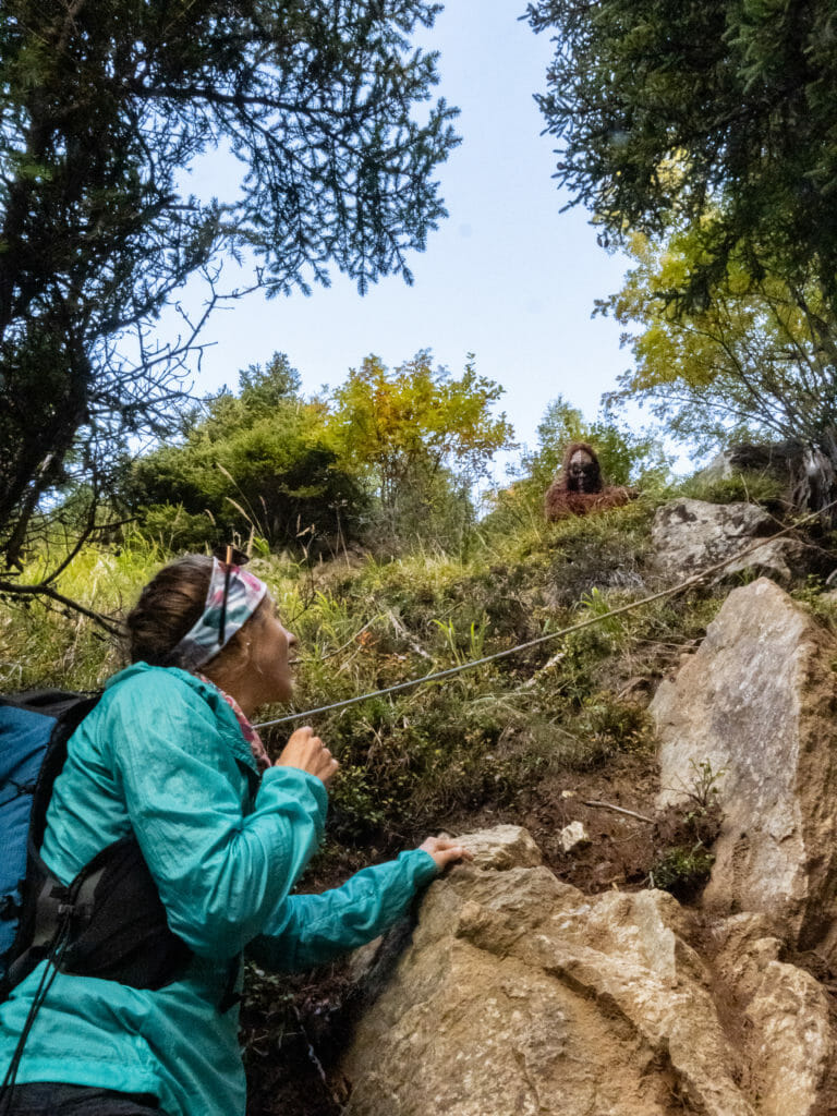 Bigfoot running on the Vertical Kilometer in Chamonix, France.