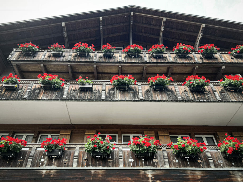 Geranium-filled window boxes in Grindelwald