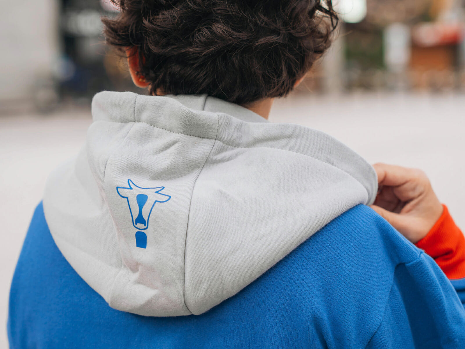 Run the Alps Multicolor Hoodie