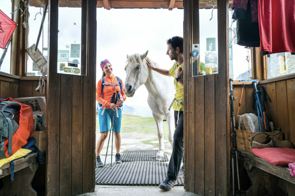 A horse at an entrance to an Italian hut