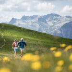 How did we get here? What Run the Alps has Taught me over Ten Years