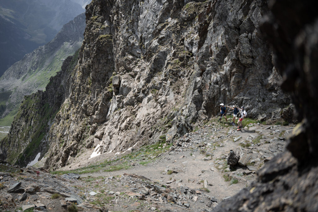 The landscape of TOR.